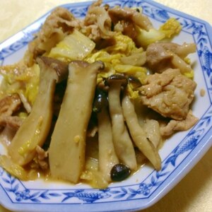 しょうがたっぷり！豚肉と白菜のしょうが味噌炒め♪